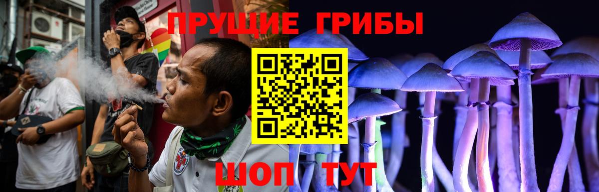 Псилоцибиновые грибы Psilocybe  Галлюциногенные грибы GOLDEN TEACHER  Шуя  Вход с VPN 